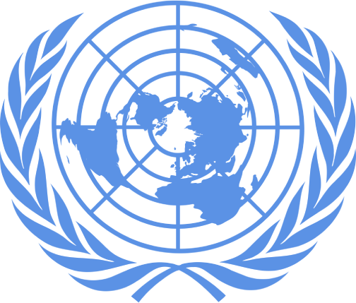 United Nations DAM